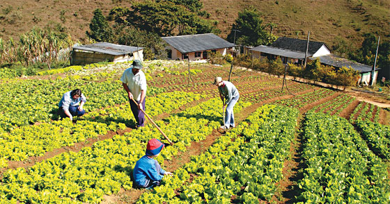 ATER: Referência em agricultura familiar e meio ambiente