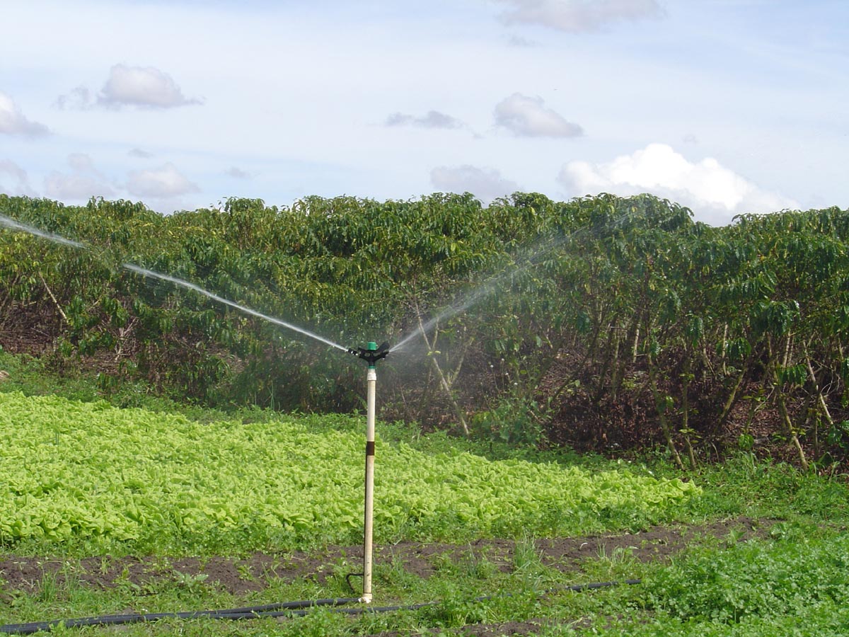 Assin questiona papel do Incaper no certificado de sustentabilidade da irrigação