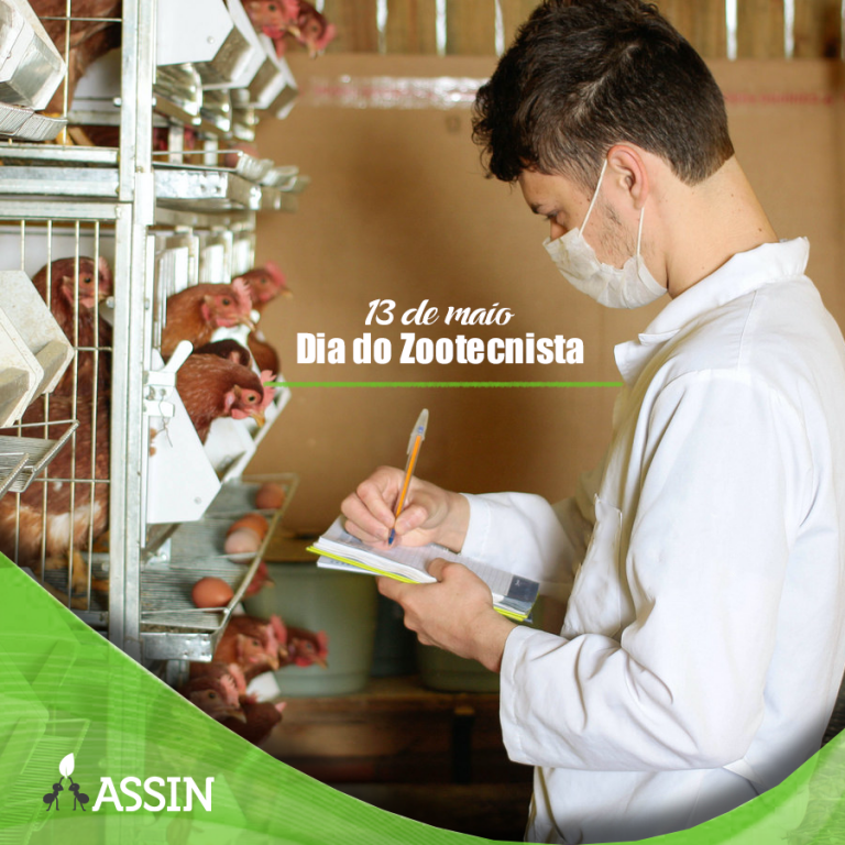 Dia do Zootecnista: uma profissão voltada à produção animal - Assin